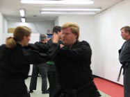 About Bujinkan Budo Taijutsu Training