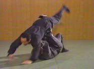 Koto Ryu